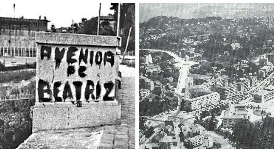 Una de las calles mejor valoradas de nuestra ciudad; Avda de las Camelias